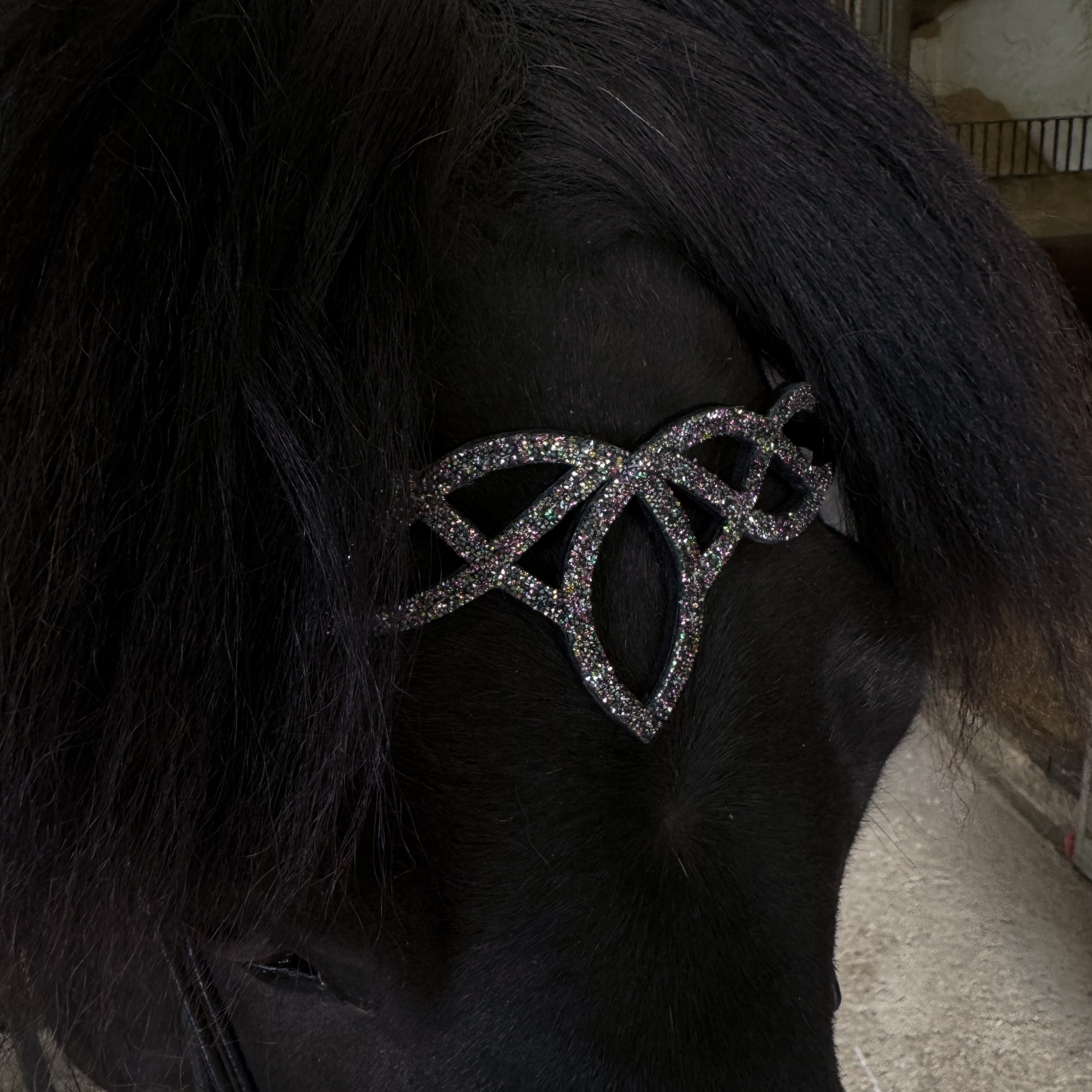 Stirnriemen 'Dualis'