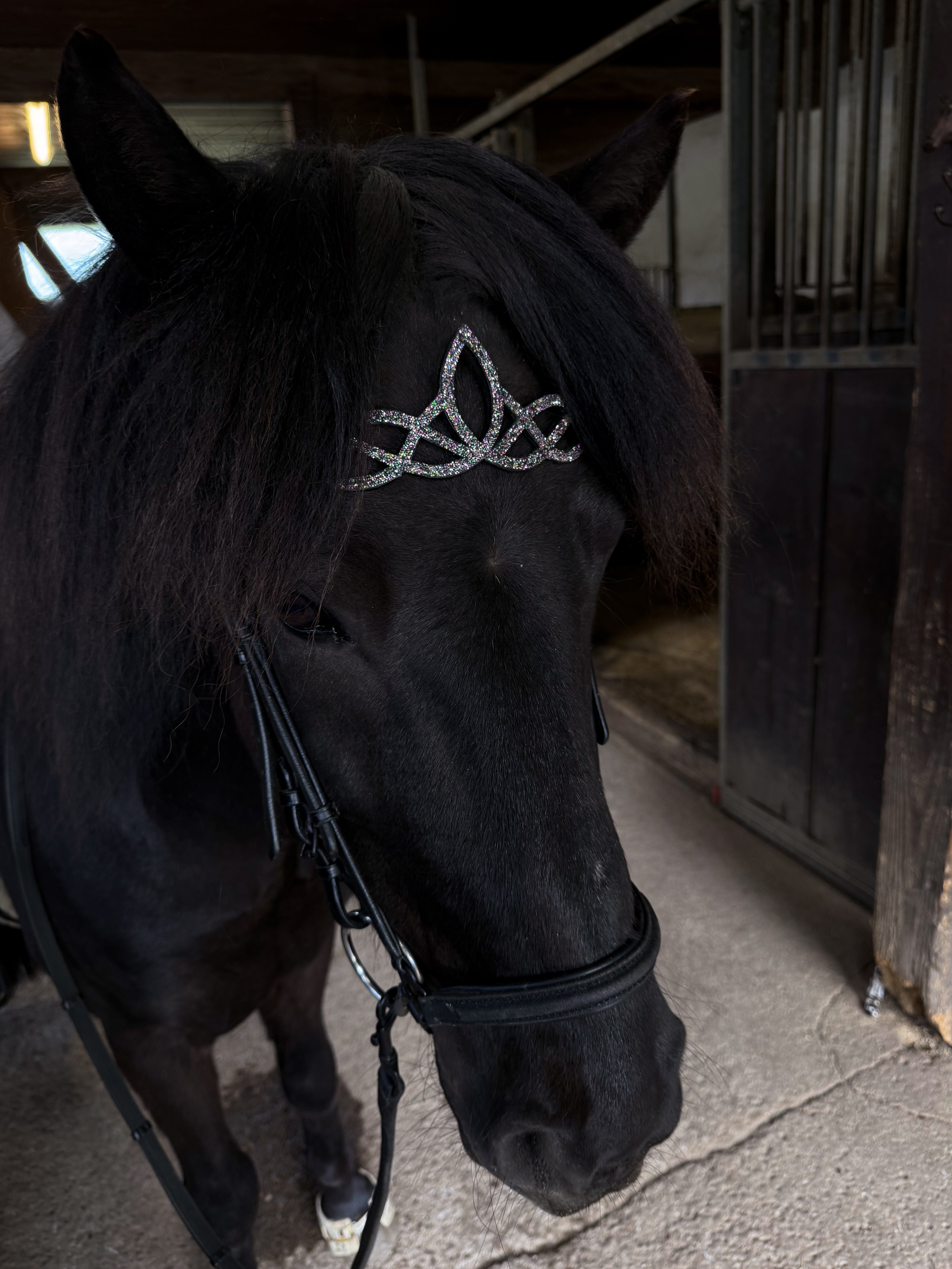 Stirnriemen 'Dualis'