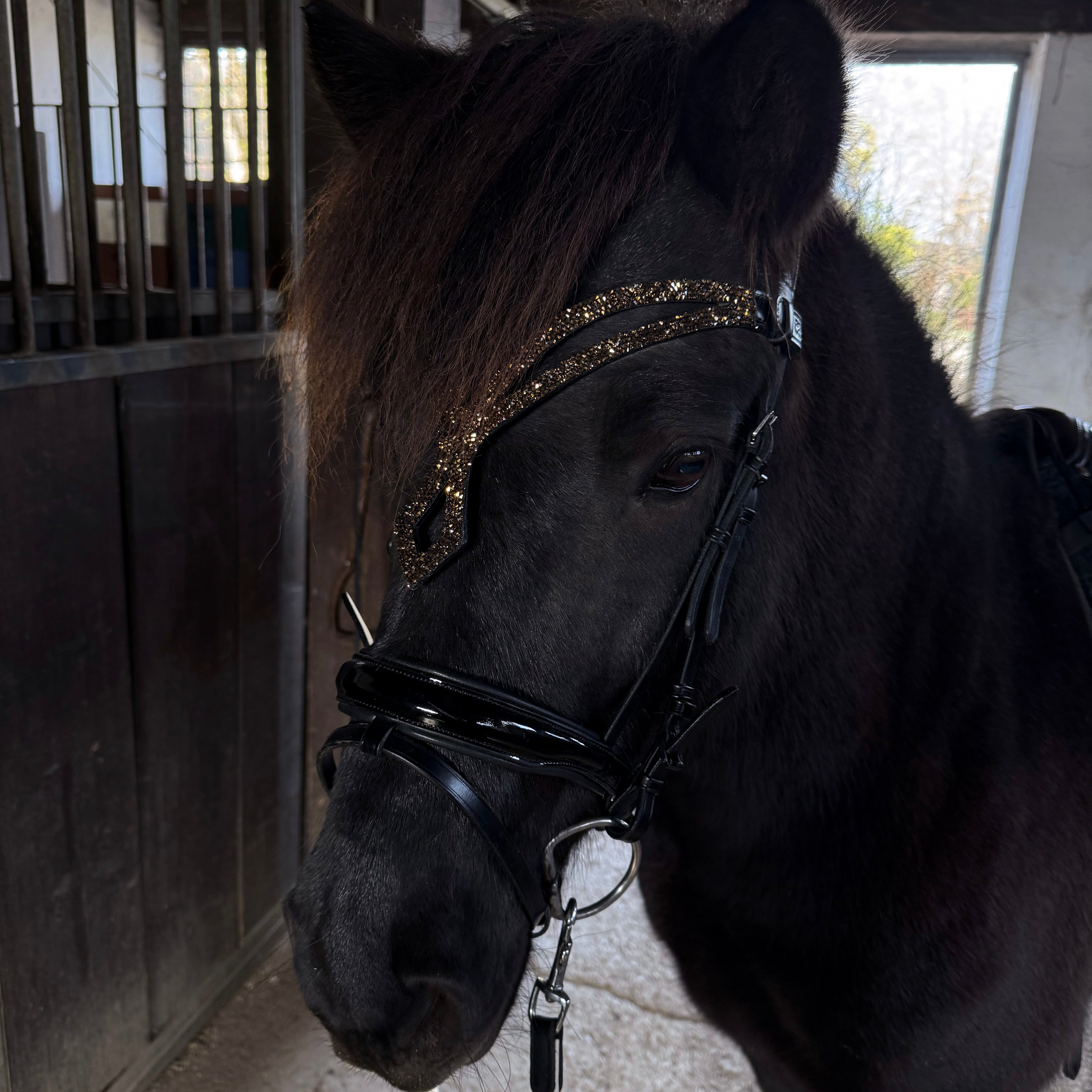 Browband 'Aurora'