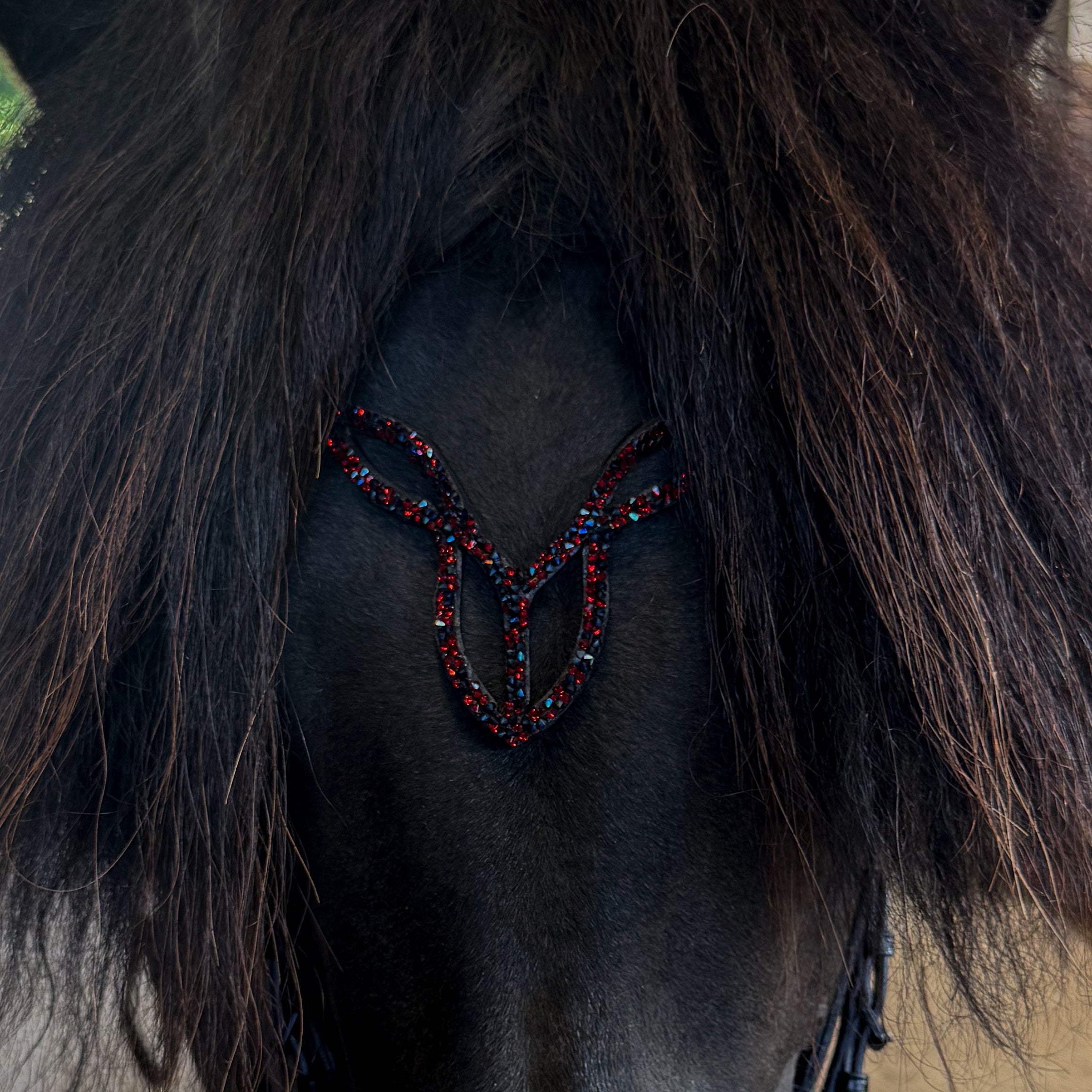 Browband 'Viking'