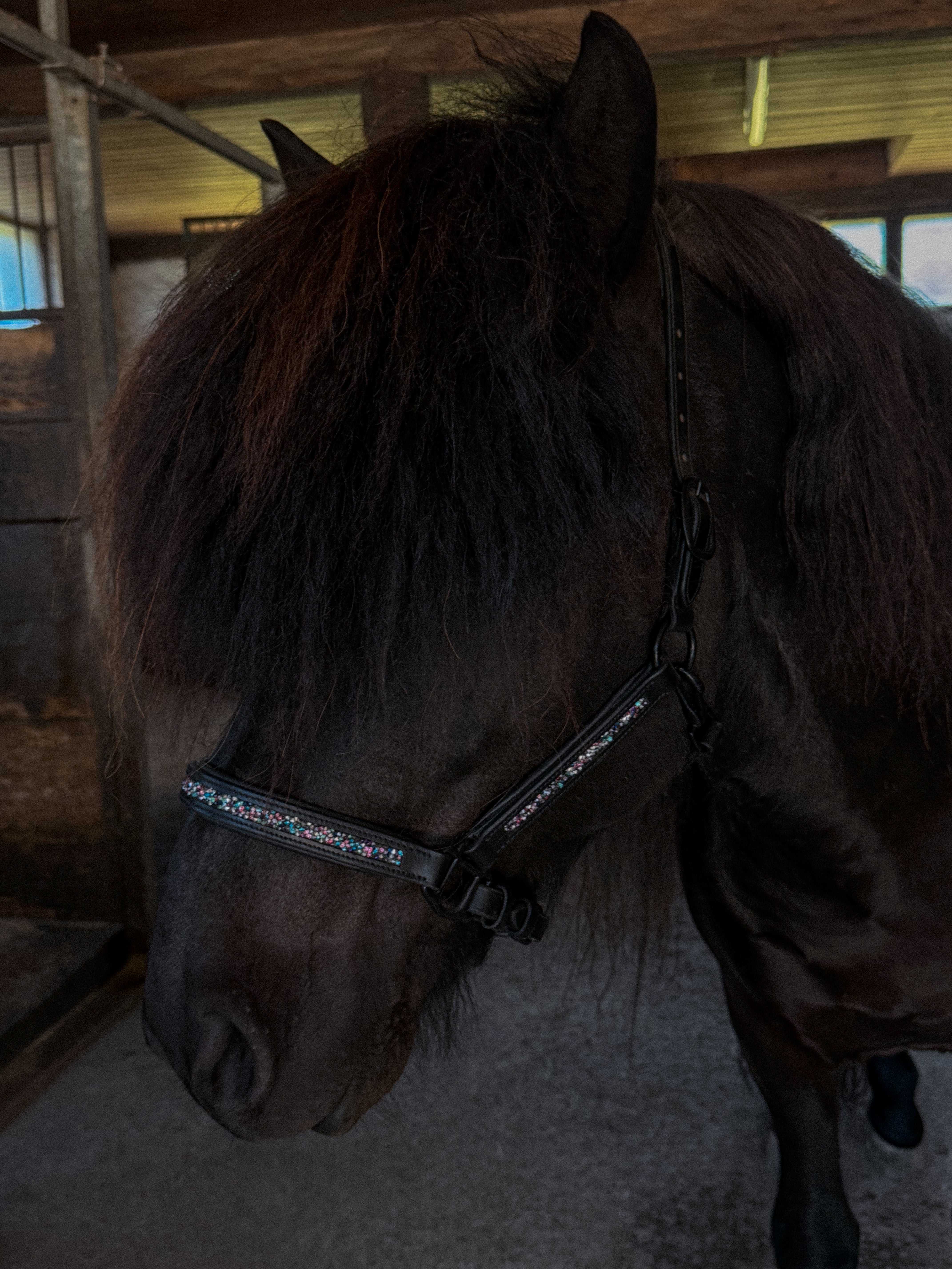 Leather Halter 'Aurora'