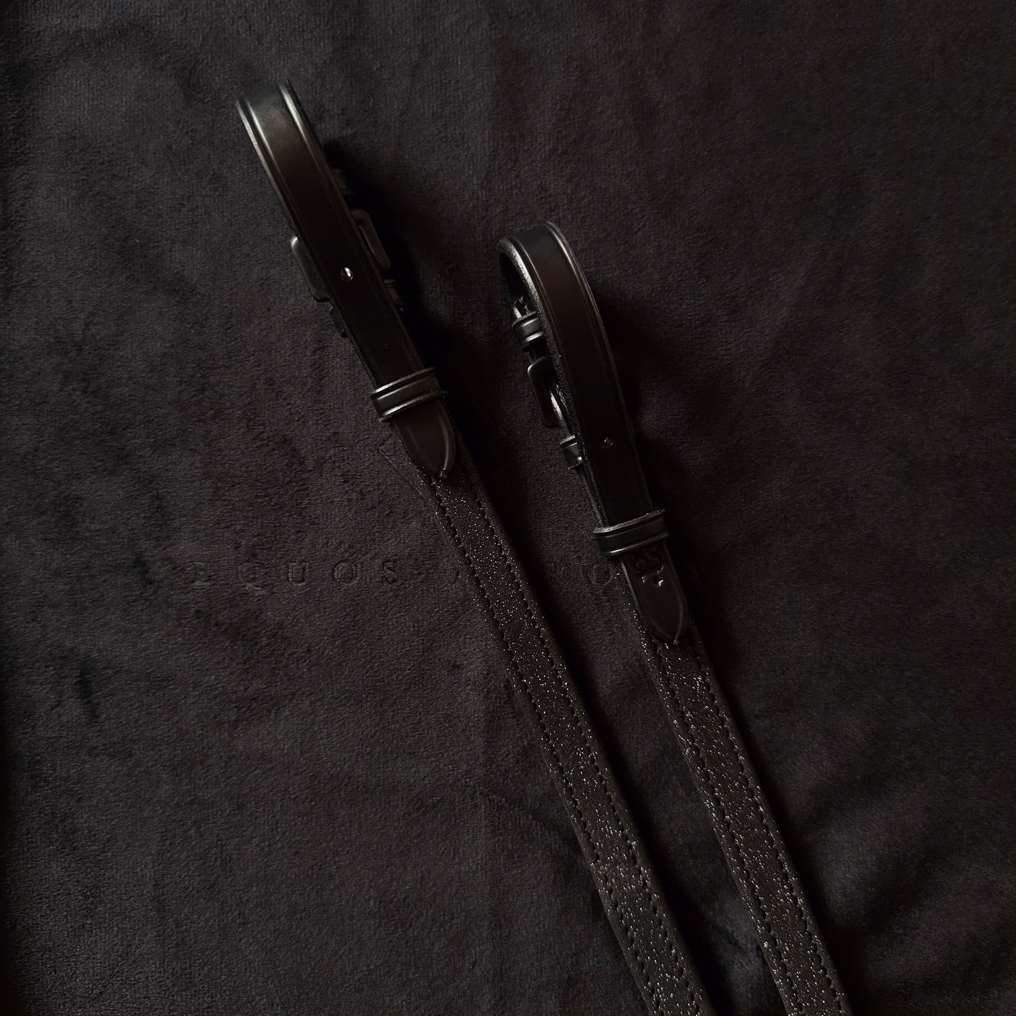 Biothane Reins 'Glitz and Classy' - PRE ORDER