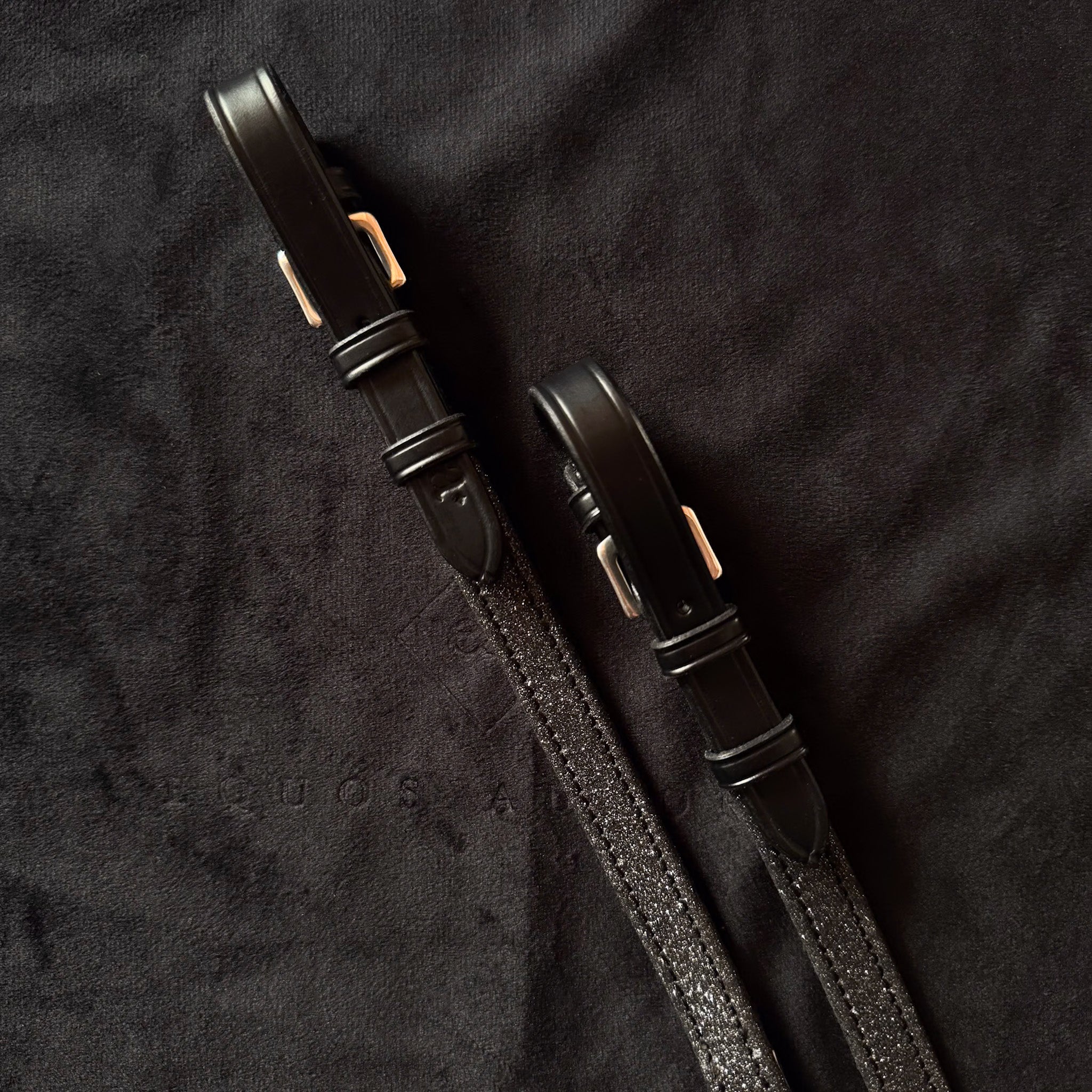 Biothane Reins 'Glitz and Classy' - PRE ORDER