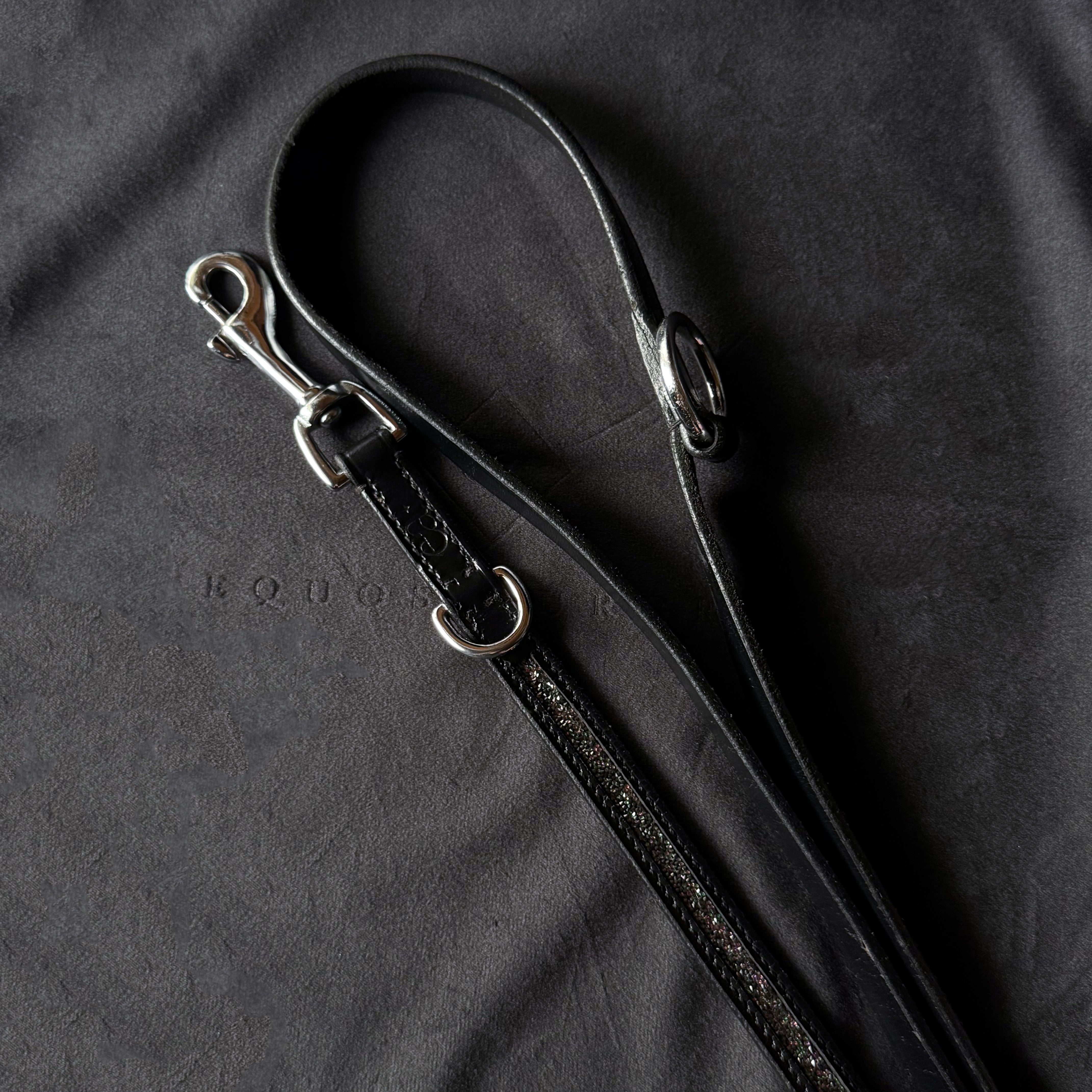 Dog Leash 'Galaxy Glow'